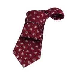 Bar Harbor Paisley Silk Tie, Red / Navy / Silver
